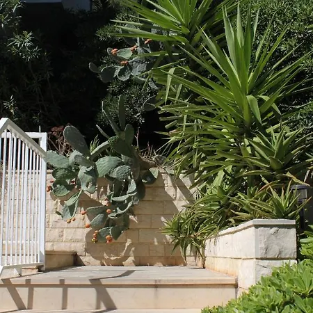 By The Sea Pasadur, Lastovo - 8337 *