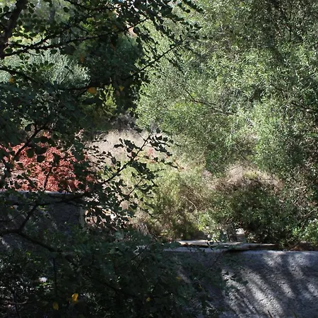 By The Sea Pasadur, Lastovo - 8337 Uble